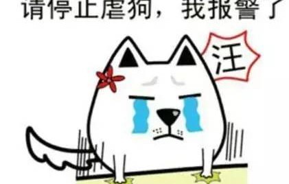 隐形式单身娱乐吃瓜酱