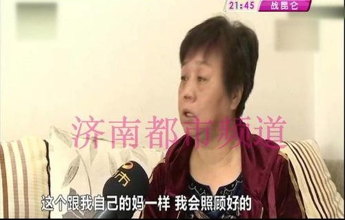 娱乐君吃瓜老绵羊视频在线观看,揭秘老绵羊视频背后的精彩故事