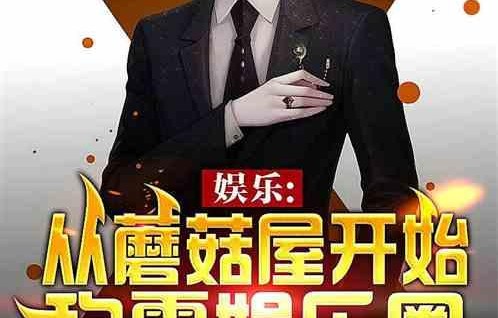 吃瓜娱乐圈综艺小说推荐,娱乐圈综艺小说精选盘点