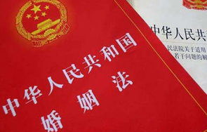 娱乐吃瓜酱婚姻法