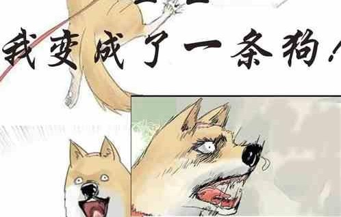 娱乐圈吃瓜小狗小说在线阅读